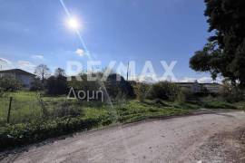 Plot 291236 sq.m for sale