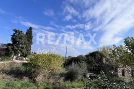 Plot 291236 sq.m for sale