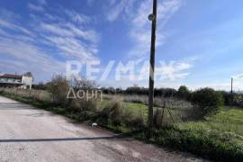 Plot 291236 sq.m for sale