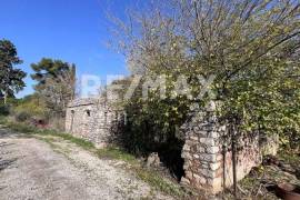 Plot 291236 sq.m for sale