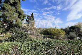 Plot 291236 sq.m for sale