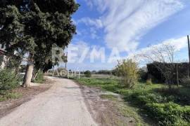 Plot 291236 sq.m for sale