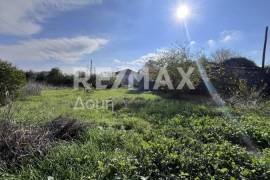 Plot 291236 sq.m for sale