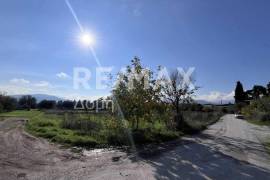 Plot 291236 sq.m for sale