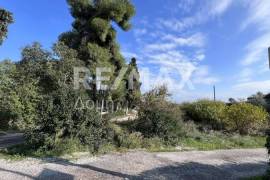 Plot 291236 sq.m for sale