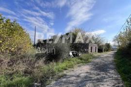 Plot 291236 sq.m for sale