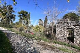 Plot 291236 sq.m for sale