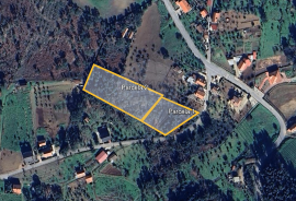 Rustic Land of 4,200 m² in Sertã