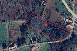 Rustic Land of 4,200 m² in Sertã