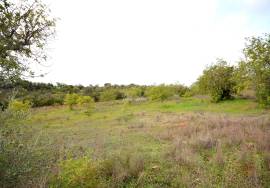 Ruin and  Large Plot of Land