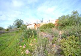 Ruin and  Large Plot of Land