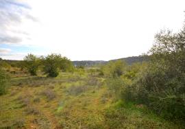 Ruin and  Large Plot of Land