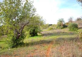 Ruin and  Large Plot of Land