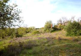 Ruin and  Large Plot of Land