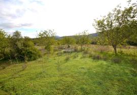 Ruin and  Large Plot of Land