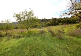 Ruin and  Large Plot of Land