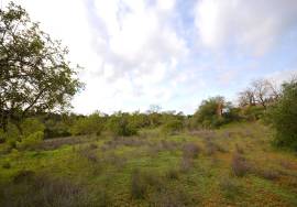Ruin and  Large Plot of Land