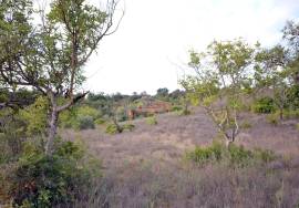 Ruin and  Large Plot of Land