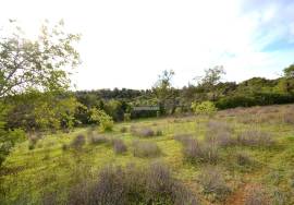 Ruin and  Large Plot of Land