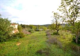 Ruin and  Large Plot of Land