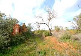 Ruin and  Large Plot of Land