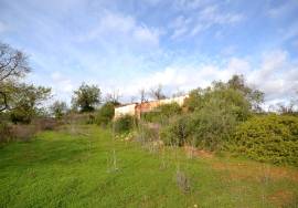 Ruin and  Large Plot of Land