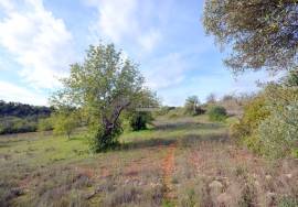 Ruin and  Large Plot of Land