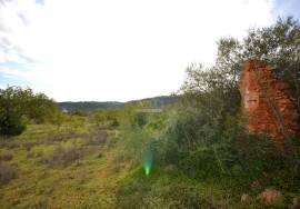 Ruin and  Large Plot of Land