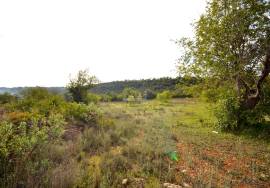 Ruin and  Large Plot of Land