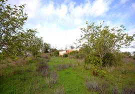 Ruin and  Large Plot of Land