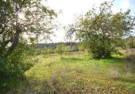 Ruin and  Large Plot of Land