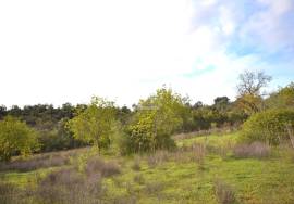 Ruin and  Large Plot of Land