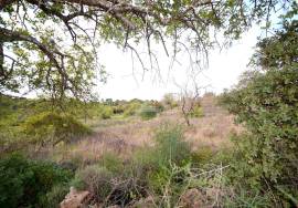 Ruin and  Large Plot of Land