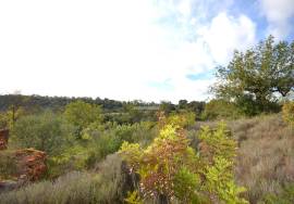 Ruin and  Large Plot of Land
