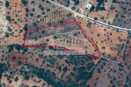 Ruin and  Large Plot of Land