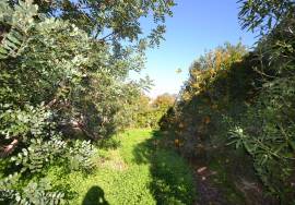 Farmhouse to Restore and Land for Residential Development