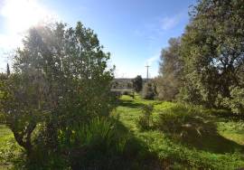Farmhouse to Restore and Land for Residential Development