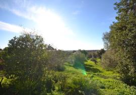 Farmhouse to Restore and Land for Residential Development