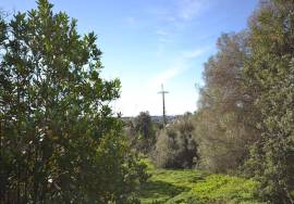 Farmhouse to Restore and Land for Residential Development