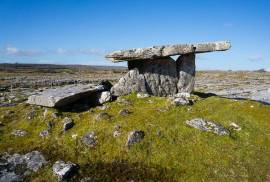 Stunning 5 Acres of Land For Sale in West Clare