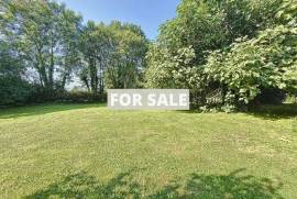 Country House with Bundles of Character