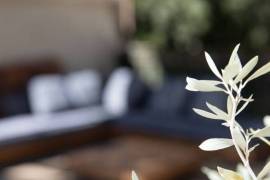 Delightful Town House with Lovely Garden