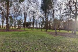 Detached Country House with Open Views