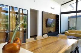 Llama Del Bosque #27 in Reserva Conchal, CR