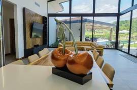 Llama Del Bosque #27 in Reserva Conchal, CR