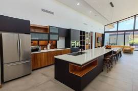 Llama Del Bosque #27 in Reserva Conchal, CR