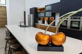 Llama Del Bosque #27 in Reserva Conchal, CR