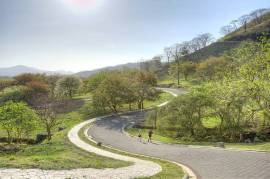 Valley Haven House: Where Sophistication and Nature Meet