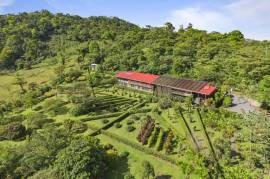 Celeste Mountain Lodge: Mountain Hotel/Resort/Hostel For Sale in Bijagua