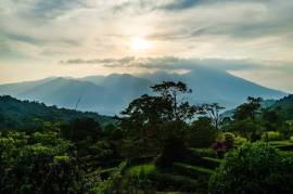 Celeste Mountain Lodge: Mountain Hotel/Resort/Hostel For Sale in Bijagua